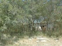 General Escobedo, Nuevo León 66080, Mexique