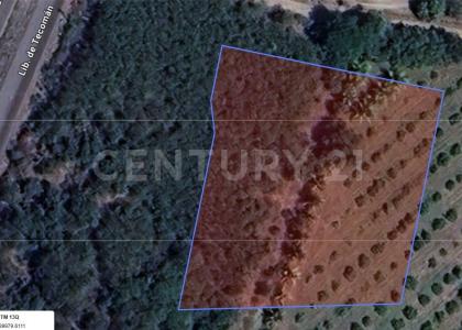 Tecoman, Colima 28930, México