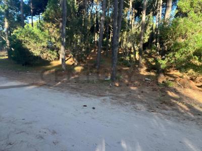 Selene 1000, Pinamar, Buenos Aires Costa Atlántica 7167, Argentina