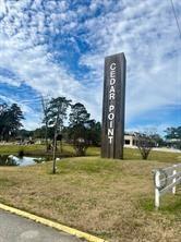 171 Cherry Tree, Livingston, Texas 77351, Estados Unidos