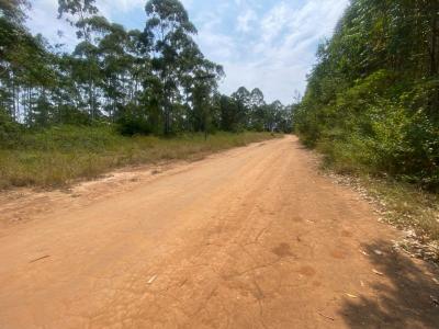 White River, Mpumalanga, South Africa