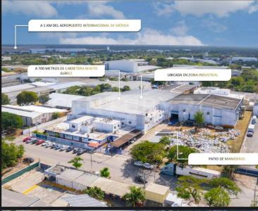 Mérida, ولاية يوكاتان 97288, المكسيك