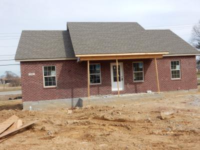 138 Diane Ct, Lebanon Junction, 肯塔基州 40150, 美国