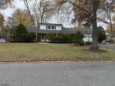 2 Peach Tree Ct, Parsippany-troy Hills Twp., NJ 07054, USA
