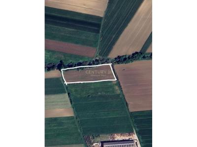 Periferia Shijak, Shijak, Albanie