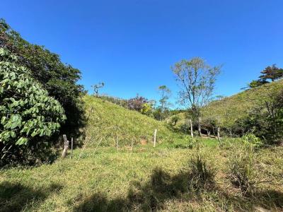 San Isidro Del General Pérez Zeledón, San José 00001, コスタリカ