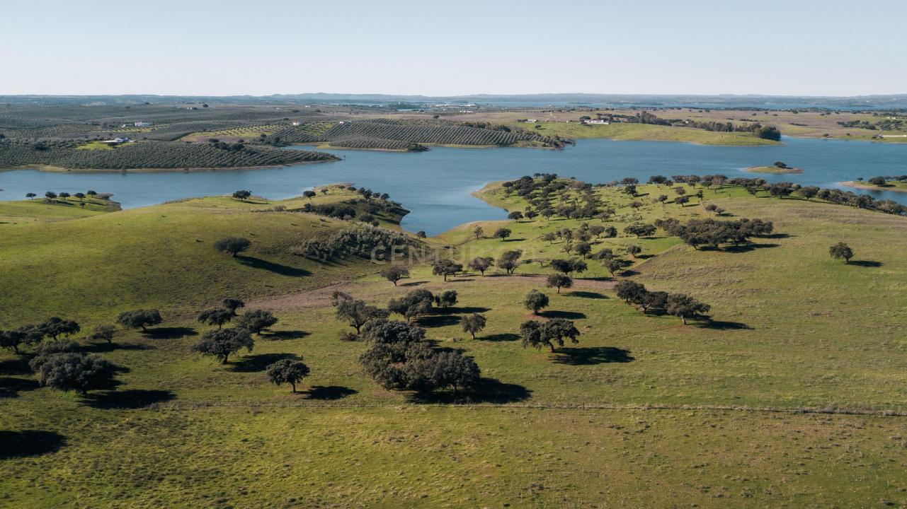 Moura, Beja 7885-259, Portugal
