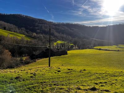 Navarra, Comunidad Foral De Navarra 31714, Tây Ban Nha