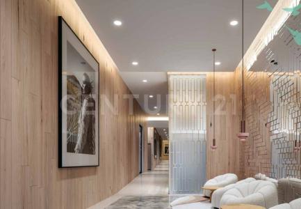 colima 410,, Cuauhtémoc, Ciudad De México 06700, Mexico