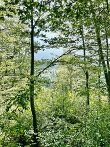 Ljubljana, Velika Lašna, Ljubljana, Osrednjeslovenska, Slovenya