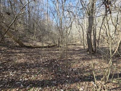 Baysinger Rd, Newport, Tennessee 37821, Estados Unidos