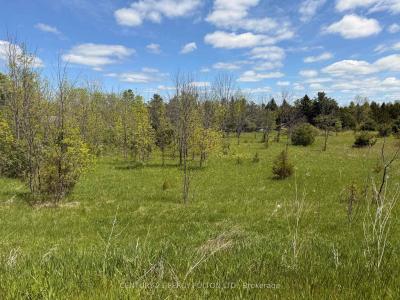 LOT 55, 56 &57 COUNTY RD 25 N/A, Trent Hills, Ontario K0K 3K0, Canada