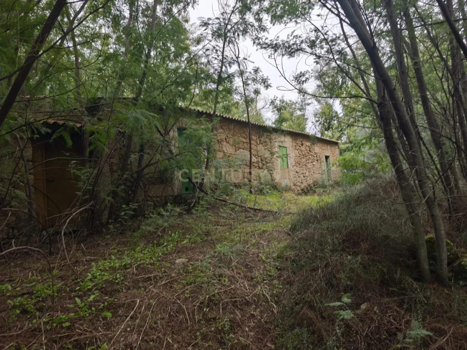 Fundão, カステロ・ブランコ 6230-511, ポルトガル