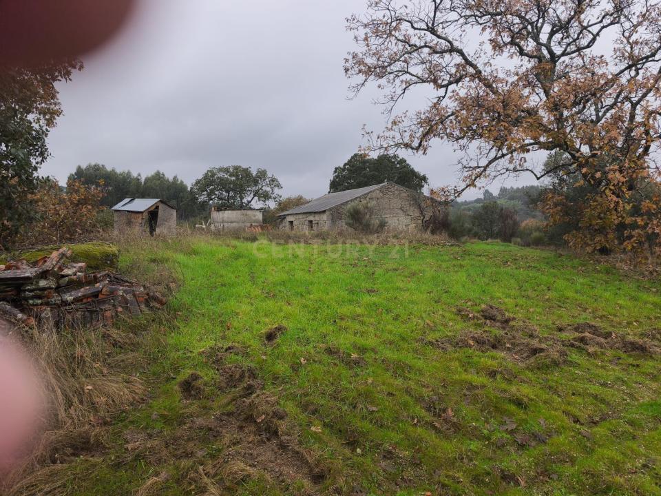 Fundão, كاستيلو برانكو 6230-511, البرتغال