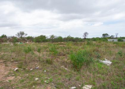 Gqeberha, Eastern Cape, Güney Afrika