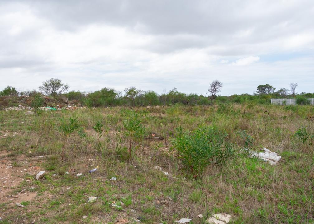 Gqeberha, Eastern Cape, Güney Afrika