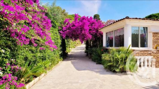 Ste Maxime, Provence-Alpes-Côte D'Azur 83120, 法國
