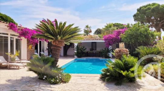 Ste Maxime, Provence-Alpes-Côte D'Azur 83120, 法國