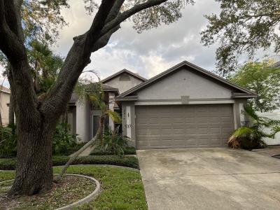 2914 Shannon Circle, Palm Harbor, Florida 34684, USA