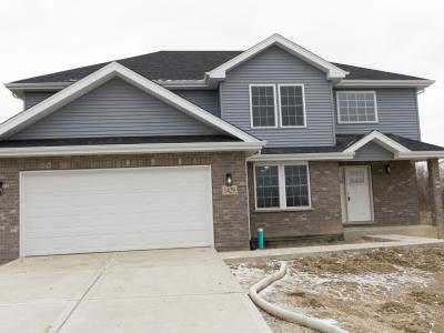 1429 Parliament Street, Crète, Illinois 60417, États-Unis