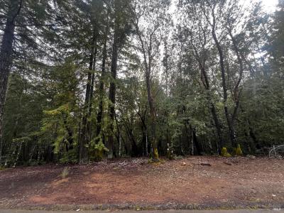 2149 Goose Road, Willits, Калифорния 95490, Соединенные Штаты