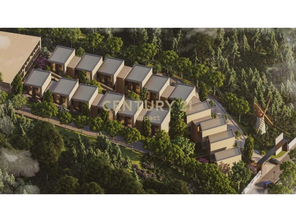 Mjull - Bathore, Tirana, Albania