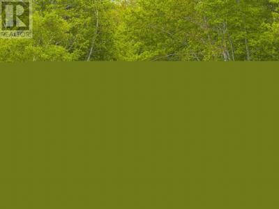 7 DAYLILY LANE, Lake Charlotte, Nuova Scozia B0J 1L0, Canada