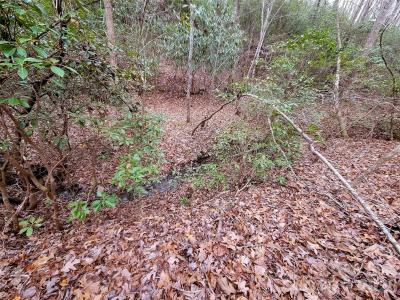 0 Birddog Boulevard #328, Lake Lure, North Carolina 28746, Stati Uniti