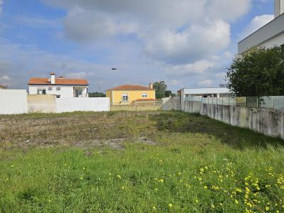 Torres Novas, Santarem 2350-297, Portugal