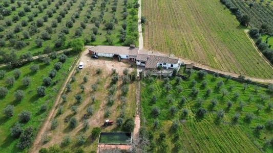 Reguengos De Monsaraz, 埃武拉 7200-142, 葡萄牙