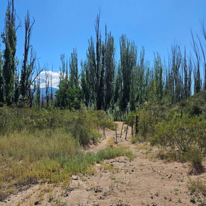 RUTA PROVINCIAL 89 S/N, Luján De Cuyo, Mendoza 00001, Arjantin