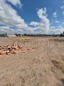 Pichincha y Yaneli , Rodeo De La Cruz, Mendoza 5525, الأرجنتين