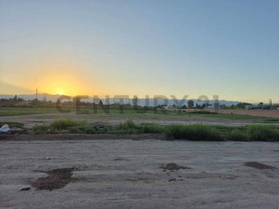 Rodeo De La Cruz, Mendoza 5525, الأرجنتين