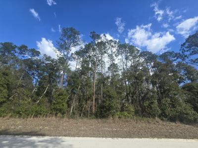 Lot 20 NE 796th St, Old Town, Florida 32680, USA
