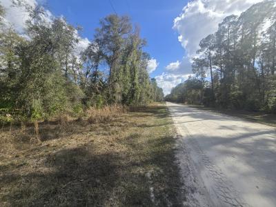 Lot 21 NE 796th St, Old Town, Florida 32680, USA