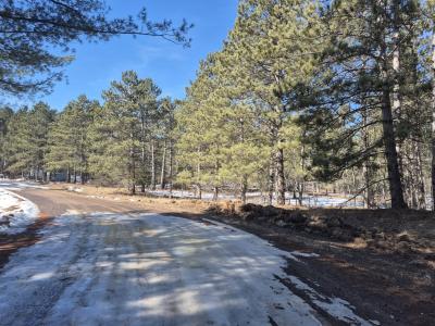 Lots 11& 12 Skylight Rd, Webster, Wisconsin 54893, USA