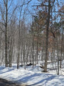 Lots 10 & 11 Wintergreen Trail, Danbury, Wisconsin 54830, USA