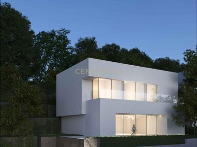 Mullet, Tirana, Albania