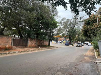 Dr. Ramón Frizzola entre Patricio Escobar y Avenidad Eugenio A. Garay , San Lorenzo, Central 00001, Paraguay