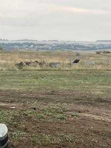 Phase 5 John Rian Subdivision, Stanley, ND 58784, USA