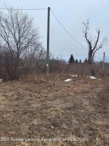 20003 Bullhead Lake Drive, Evart, Michigan 49631, USA