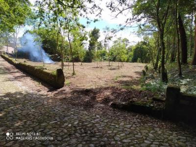 Caminha, ויאנה דו קשטלו 4910-339, פורטוגל 