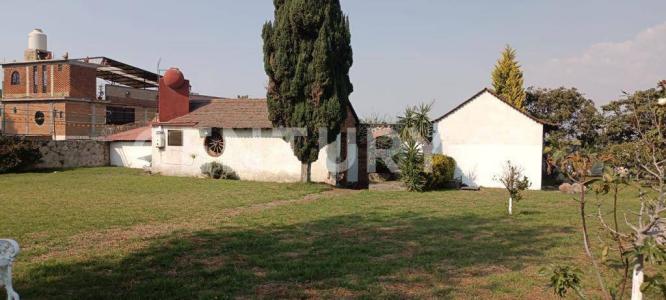 Violeta y Jazmín ,, Cocotitlan, Estado De México 56680, Mexico