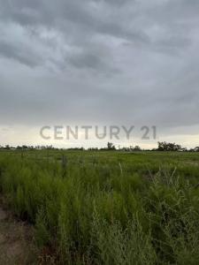 Autopista Cordoba Rosario Km 561 , Villa María, Cordoba 00001, Argentina