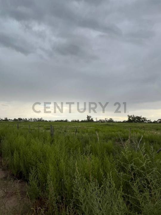 Autopista Cordoba Rosario Km 561 , Villa María, Cordoba 00001, Argentinien