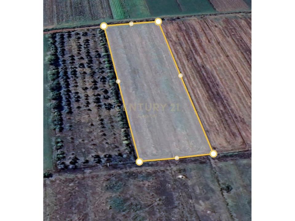 Periferia Rrogozhinë, Rrogozhinë, Albanie