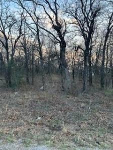 4 Haynie Drive, Runaway Bay, Texas 76426, USA