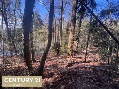 道場町平田, 神戸市北区, 兵库县 651-1504, 日本