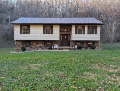 635 Shoals Branch Rd, Wayne, WV 25570, USA