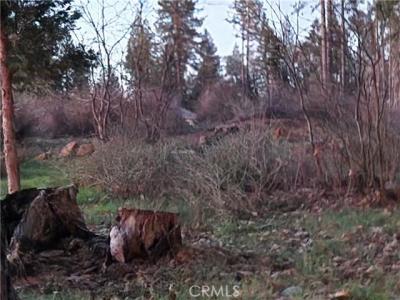 14302 Skyway, Maga, Kalifornien 95954, USA